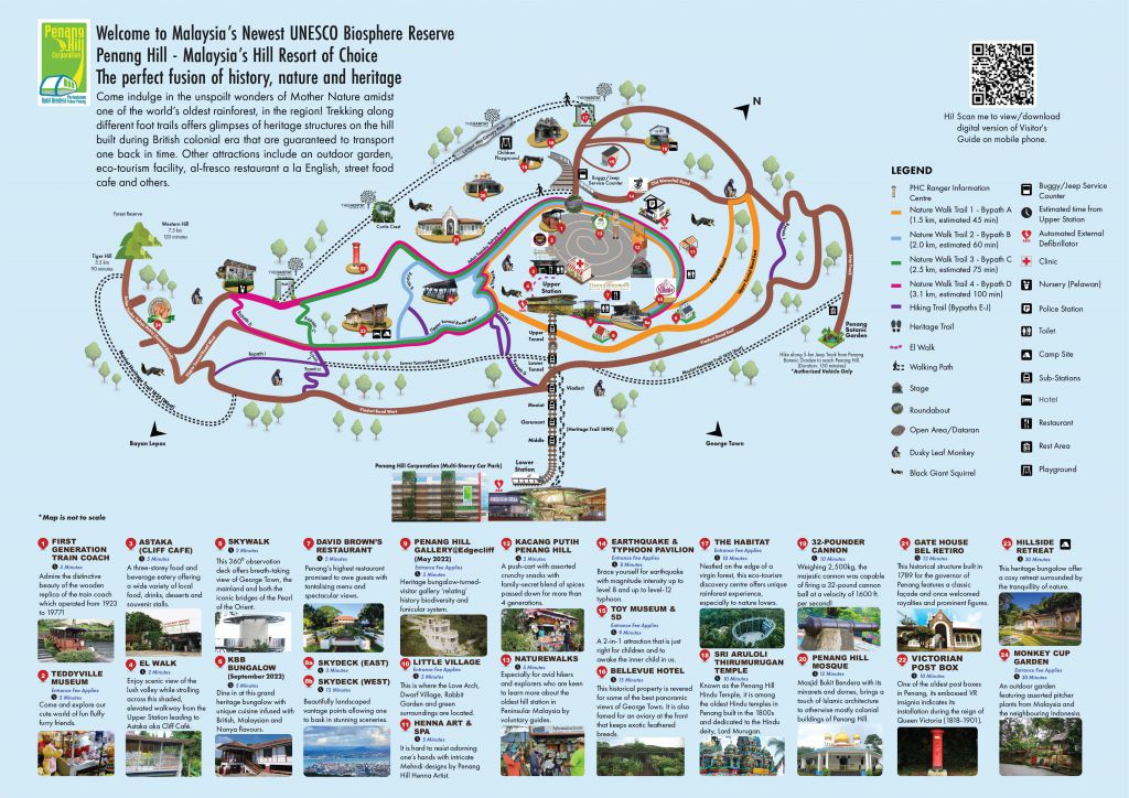 A Comprehensive Guide To Hiking in Penang Hill